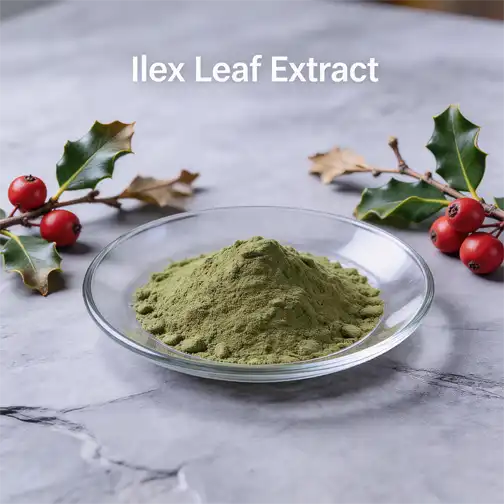 Bulk Ilex Leaf Extract Supplier for Industry Use